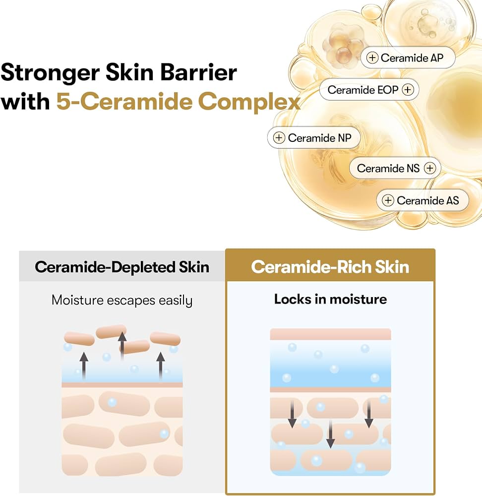 VT Cosmetics Rice Ceramide Capsule Cream – Crème Hydratante Éclat 50 ml